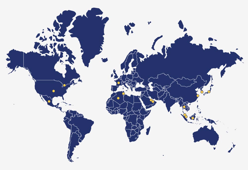 World Map with DOLCHEM products