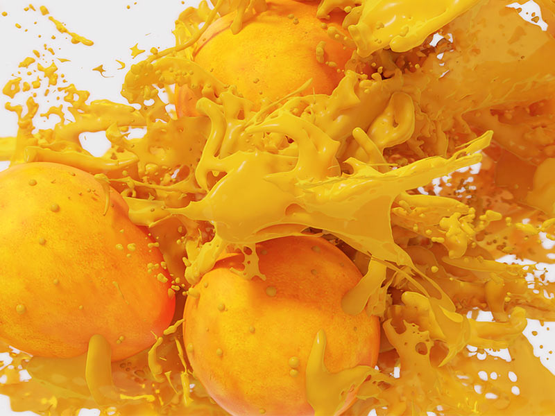 Preservation of fruit juice food additives guide DOLCHEM